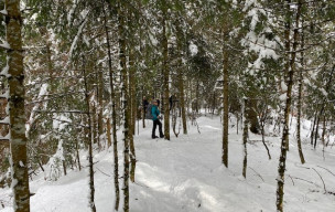 Sortie raquette du 31 janvier